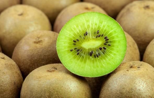 猕猴桃最新爆料视频大全,最新品种与种植技术大曝光 第1张 猕猴桃最新爆料视频大全,最新品种与种植技术大曝光 第1张